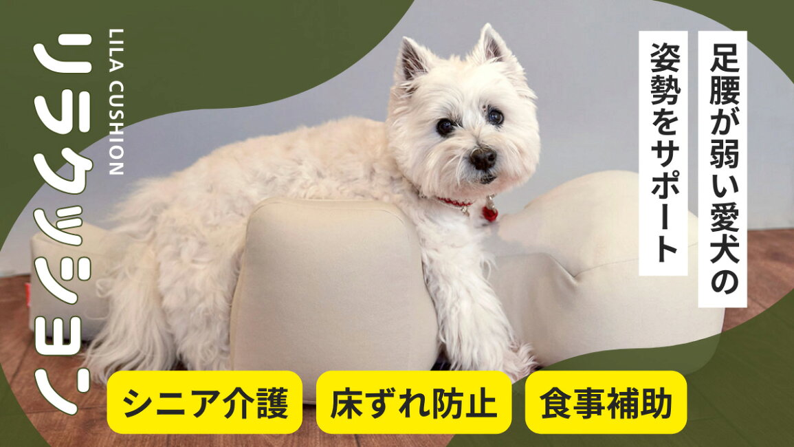 楽天市場 | ペットガーデン紀三井寺 - シニア犬の立ち姿勢をサポート 