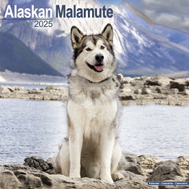 【予約】 ペット カレンダー 2025年 壁掛け 犬 ドッグ アラスカンマラミュート 海外輸入版 書き込み 犬種別 大判 暦 イギリス ペット フルカラー 写真【2024年9月下旬頃順次発送】