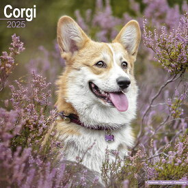 【予約】 ペット カレンダー 2025年 壁掛け 犬 ドッグ ウェルシュコーギー 海外輸入版 書き込み 犬種別 大判 暦 イギリス ペット フルカラー 写真【2024年9月下旬頃順次発送】