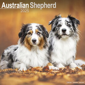 【予約】 ペット カレンダー 2025年 壁掛け 犬 ドッグ オーストラリアンシェパード 海外輸入版 書き込み 犬種別 大判 暦 イギリス ペット フルカラー 写真【2024年9月下旬頃順次発送】