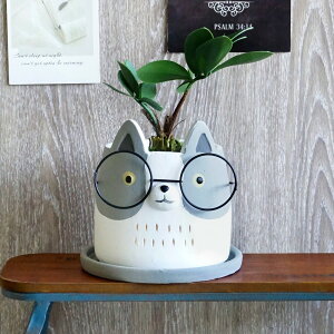 y5%OFFz^ Aؔ K[fjOG FV lgV|bg M 1 