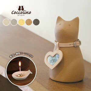 y󒍐YzCocolino RbR[m ڃjg L Micio A ~[`Aj ybg{  茳{  Lp [܂ ̋ C^A  y㕥szyLZE