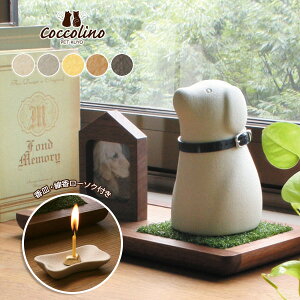 y󒍐YzCocolino RbR[m ڃjg  Wancio B `B ybg{  茳{  p [܂ ̋ C^A  y㕥szyLZE