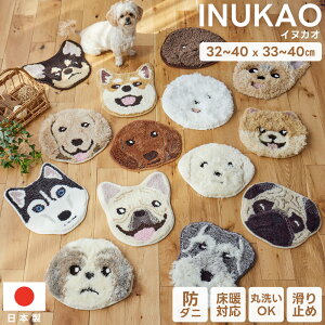 CkJI }bg փ}bg `FApbh S14  hbO 􂦂 h_j ׂ~ g[Ή {