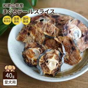 p Y Y ܂ e[ XCX 40g VRf  AQ   ^ ^ ^ a̎RY Nanki Japan