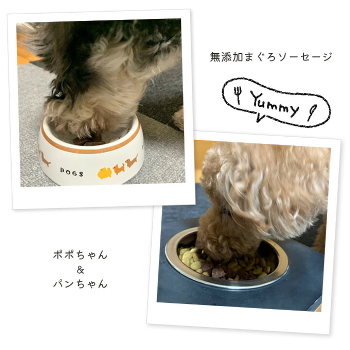 楽天市場 無添加 まぐろ ソーセージ 愛犬用 4本入 和歌山県産 マグロ 鮪 おやつ 国産 ドッグフード シニア 成犬 老犬 高齢 小型犬 大型犬 Nanki Japan ペットガーデン紀三井寺