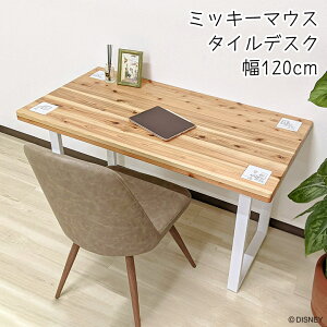 yő100~offN[|!!z fBYj[ ~bL[}EX 120cm s60cm  Vv wK fXN p\RfXN PCfXN Y { 킢 Ƒ V ؐ X`[r  