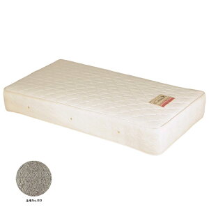 yubNtCf[JÒN[|z }bgX |PbgRC}bgX Y { VO}bgX VO RC 527 E^  22cm Rۖ  ZxX I