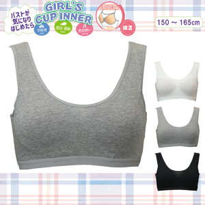 WjA Jbvt n[tu ̎q ȍ Xgb`f RۖhL WjAu X|[c _X w w Ci[ V/N/ۃO[ 150-165 11540