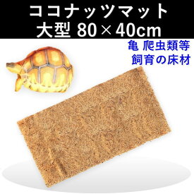 ココナッツマット 床材 大型 80×40cm 爬虫類 昆虫 リクガメ 両生類 飼育 底砂 ペットマット パッド 両生類 寝床 床材 爬虫類 生類 砂 装飾 通気 飼育 亀 カメ 蛇 へび ペット リクガメ 送料無料