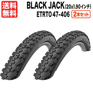 2{Zbg Black Jack 20 x 1.90C` (ETRTO 47-406) Vx ubNWbN ubN  Schwalbe a ~jx LbYoCN 