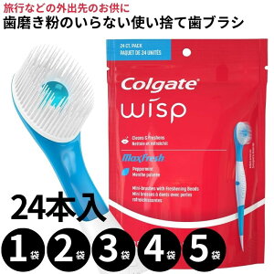 RQ[g |[^u~juV ĝ sp t uV EBXv 24 Colgate Wisp Portable Mini Brush