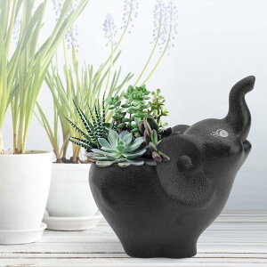 植木鉢 陶器 象 かわいい ミニ 盆栽 観葉植物 多肉植物 父の日