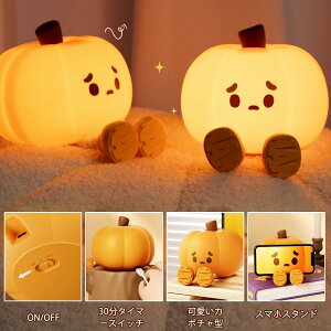 iCgCg J{`^  Cg  ԐڏƖ ドCg ^C}[ݒ ^b` TYPE-C[d @\ ͋C CeA NX}X a VN v[g oYj 