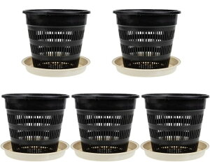 K[fv^[ 5Zbg Ӓ̐Aؔ NA AEghAMtg vX`bN T{e X^[eBO|bg vX`bNt[ K[f K[fj v^[ ̓