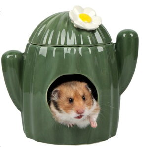 nX^[ nEX T{e^ B Z~bN 킢  K NbVt 傫 L/STCY ̓