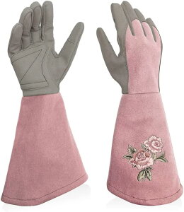 K[fO[u |p o O gQh~ v K[fjOO[u  fB[X ̓