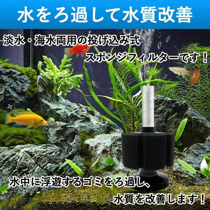 楽天市場】スポンジフィルター 投げ込み式フィルター 大型 ろ過 濾過 