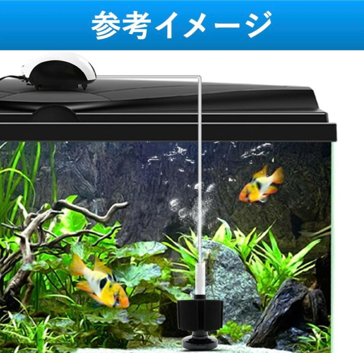 楽天市場】スポンジフィルター 投げ込み式フィルター 大型 ろ過 濾過 
