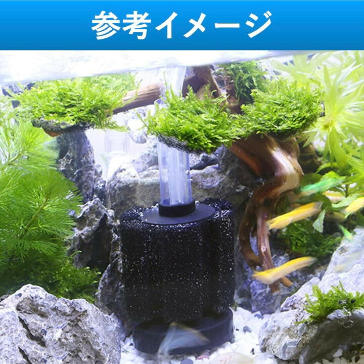 楽天市場】スポンジフィルター 投げ込み式フィルター 大型 ろ過 濾過 