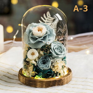 vU[h t[ ͂Ȃ  a  Mtg KN hCt[ t[ MtgKXh[ LEDCg ̂ aFB ̓ӂNւ̌hӋLOv[