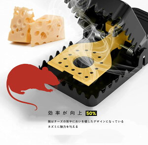 yyVX[p[SALE10%OFFzlY~߂ 4Zbg ȒP ߂ 쏜 ߊl JԂ Qb 쏜 ߊl ėp\ 쏜@ ƒ ؉ 䏊  ̓