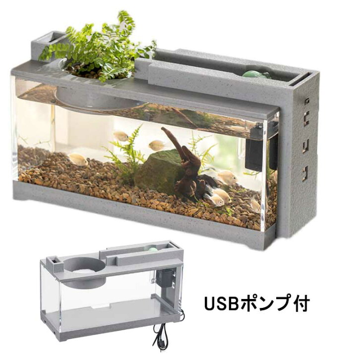 楽天市場】LEDライト付き ミニ水槽 水槽セット アクアリウム 魚飼育 