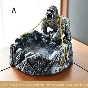 DM SDM NGCeBuDM iҗpDM GpDM ODM ^oRp ւItBXɍœKȂȑ