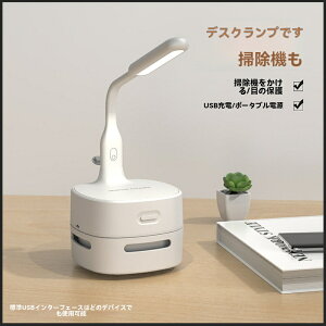 |@ƃiCgCg2in1 iCgCg DŖڂɗD fXNpN[i[