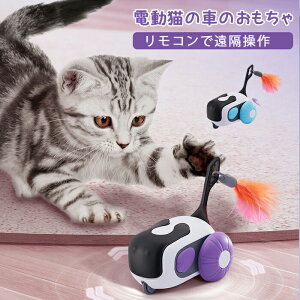 dL C^NeBudL X}[gR L R ʔL̉H ybg USB[d