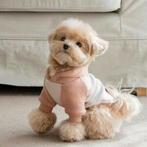 ! H~V  lC t[fB[ Jbg\[ ݃J[  ybgEFA ^ jZbNX p[J[ hbOEFA U j̎q O Vv p ybg y