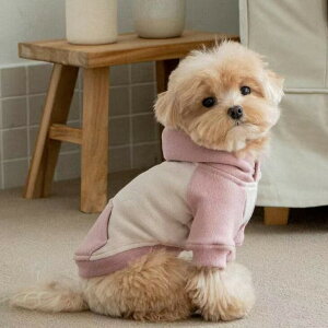 ! H~V  lC t[fB[ Jbg\[ ݃J[  ybgEFA ^ jZbNX p[J[ hbOEFA U j̎q O Vv p ybg y