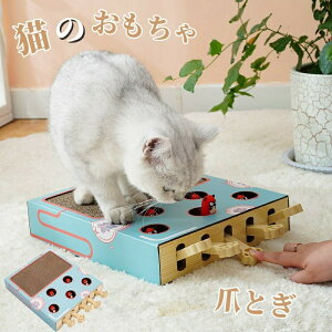 L  mߋ ܂Ƃ ܌ Lp ܖ ܌ LV ߂Ƃ L Vѓ O@ xe XgX ^sP Ƌی h~ V ybgpi ₵ 