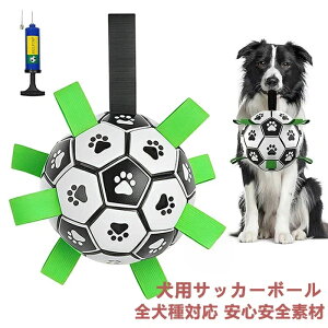 pTbJ[{[ p   ybg I` Ct p {[ f^PA ybgߋ ߋ XgXU ϋv mߋ ybg  V 