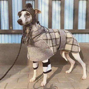 C^O   H~p g h `FbNI[o[R[g ^ ^Ή C^AO[nEhɍœKȖhŉKɉ߂邨ȃhbOEFA