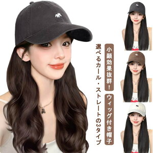 EBbOtXq XqtEBbO EBbOtLbv fB[X tXq J[ EF[u Xg[g O  ×pEB wig EBbOXq