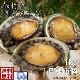 送料無料　高級！　絶品！刺身殻付きあわび　6個×1P　1kgハーフシェル　片貝あわび　鮑　あかねあわび　生　お造り　バター　awabi　 バター焼き フライ　 　BBQ　　酒蒸し