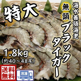 大特価送料無料　特大　無頭　海老 ブラックタイガー　8/121.8kg　約40尾〜48尾入り特大　大きい　海老　えび　エビ　BBQ　文化祭　お祭り　塩焼き　お正月　BBQ　煮しめ　エビフライ　エビチリ　エビマヨ　（お得なケース販売もあります）