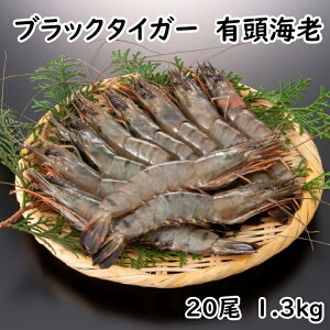 @LCV@ubN^CK[ 20@1.3kgCV@傫с@@ߎς߁@Gr@N@@j@@蕨@p[eB[ Gr@L  rbN  Gr