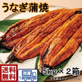 お買い得！鰻　30尾送料無料炭火焼うなぎ蒲焼　10キロ（30匹入り）中国産　うなぎ ウナギ 鰻 蒲焼お得！鰻　うなぎ　ウナギ　蒲焼　かばやき　甘たれ　土用の丑　うな重　鰻丼　夏バテ予防　ふっくら柔らかい　中国産鰻