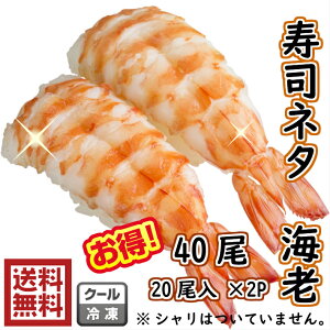 iCV@@i@芪̋iCV@5L@4020×2PoiCс@Gr@CV@@i@鶁@@il^@芪@T_@@炵@shrimp@Vv𓀂ĊȒP