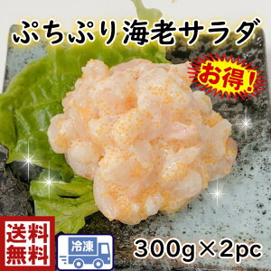 ՂՂCVT_Ղ600g300g×2pil^@Ŕ@@T_@с@CV@Gr@@܂@@@i@鶁@ il^@˂ @芪@@炵@j