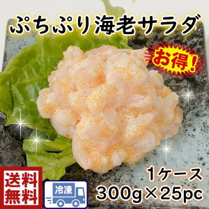 ՂՂCVT_Ղ@1C/S300g×25pil^@Ŕ@@T_@с@CV@Gr@@܂@@@i@鶁@ il^@˂ @芪@@炵@