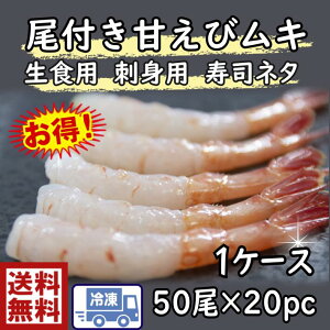 iCV@i@芪̋tÂс@50×20P@1P[Xс@Gr@CV@ÊCV@܂с@A}Gr@@i@鶁@@sushi il^@˂ @芪@@
