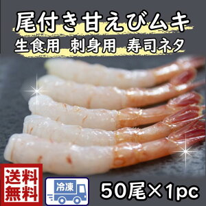 iCV@i@芪̋tÂс@50×1P@с@Gr@CV@ÊCV@܂с@A}Gr@@i@鶁@@sushi il^@˂ @芪@@炵@shrimp@