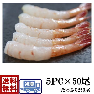 iCV@i@芪̋tÂс@50×5P@v250с@Gr@CV@ÊCV@܂с@A}Gr@@i@鶁@@sushi il^@˂ @芪@@