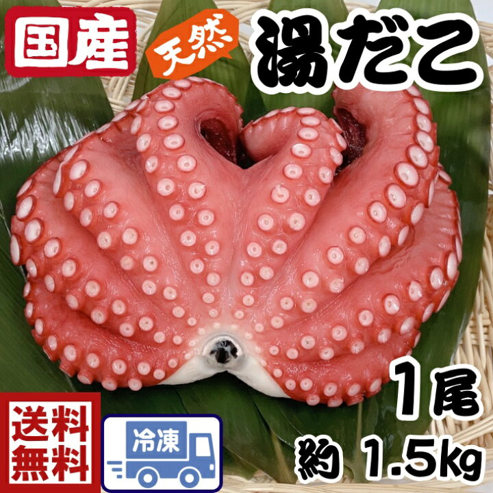 楽天市場 冷凍たこ送料無料s1 高級品 蛸 国産 湯たこ 1匹 約1 5ｋｇ 天然 鮮度抜群 たこ タコ 蛸 急速冷凍 ワンフローズン たこぶつ おいしい 新鮮 たこ焼き 酢ダコ お刺身 おでん たこの唐揚げ カルパッチョ たこ 丸たこ たこ ぷりぷり 食楽専科