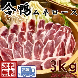 お得！大容量12pc便利な個包装パック【鴨肉約3kg　約230g×12pc】鴨肉　あいがもロース合鴨　ロース　むね肉　かも肉【220～240g×12pc】あいがも　カモ肉　鴨肉　美味しい　ヘルシー　鴨南蛮　おつまみ　オードブル　ホームパーティー