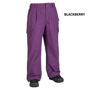 AIRBLASTER GAuX^[ EFA CYPRESS PANT 25-26(2026) f pc fB[X