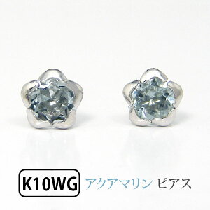 ANA} sAX t[`[t K10WG 10k 10 zCgS[hyv[g Mtgz 